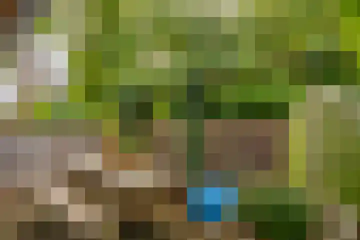 Boelemaheerd 144 Groningen thumbnail 48