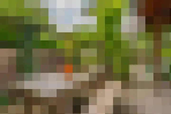 Boelemaheerd 144 Groningen thumbnail 49