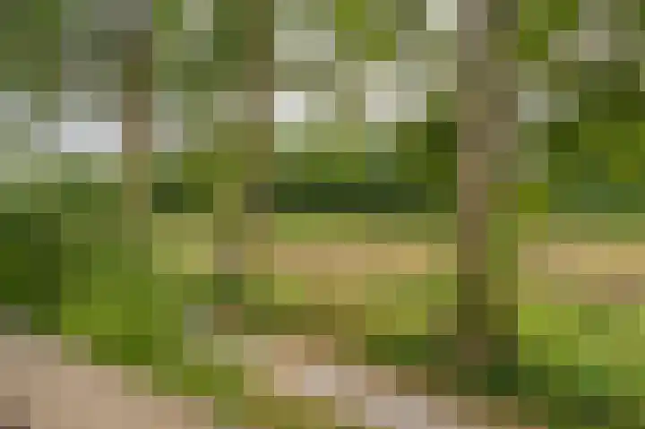 Boelemaheerd 144 Groningen thumbnail 50