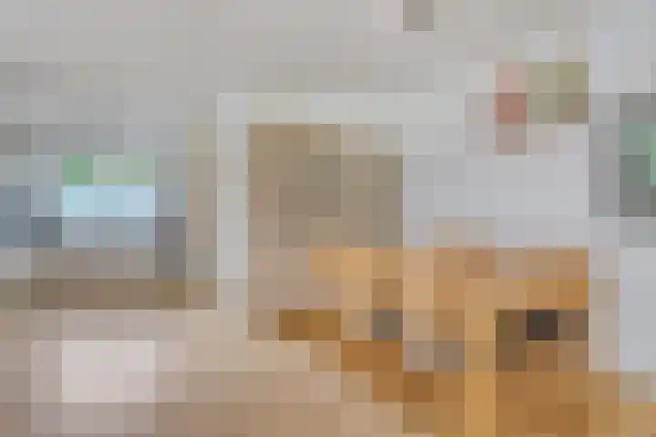 Boelemaheerd 6 Groningen thumbnail 14