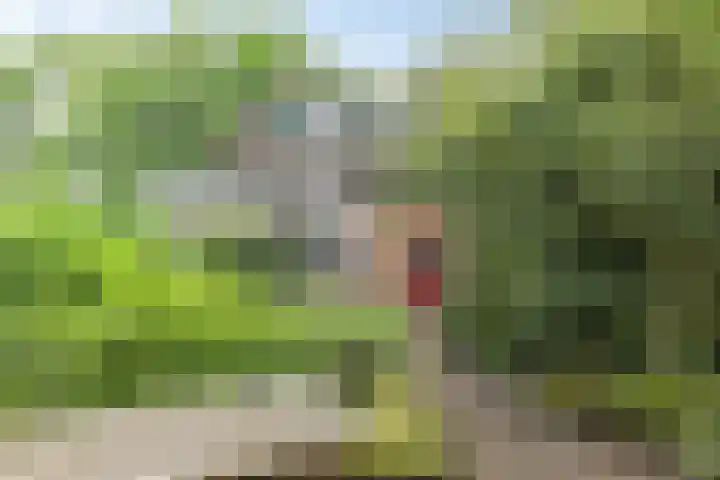 Boelemaheerd 6 Groningen thumbnail 25