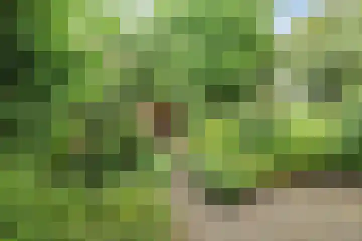 Boelemaheerd 6 Groningen thumbnail 29