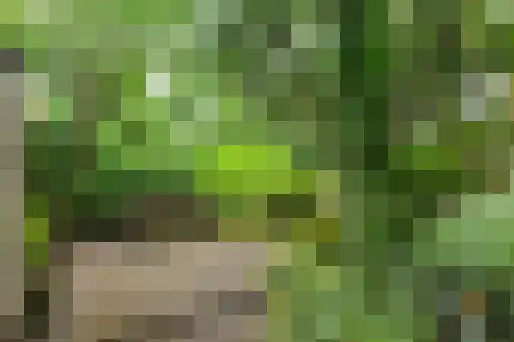 Boelemaheerd 6 Groningen thumbnail 30