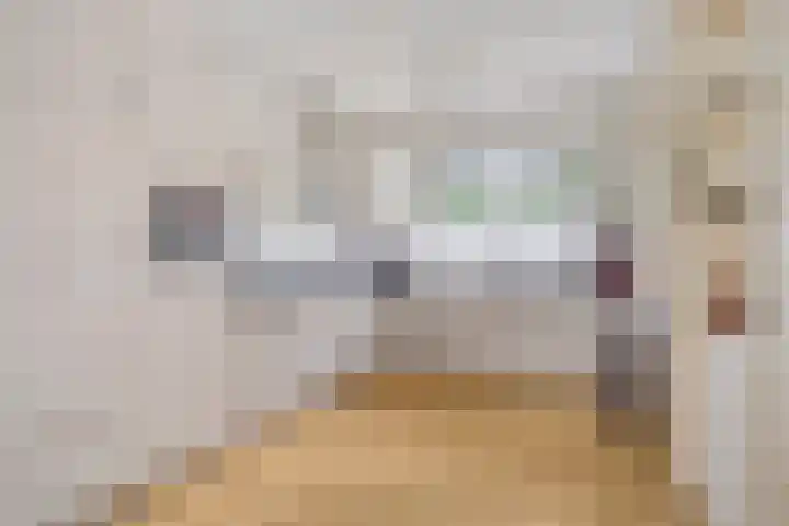 Boelemaheerd 6 Groningen thumbnail 4