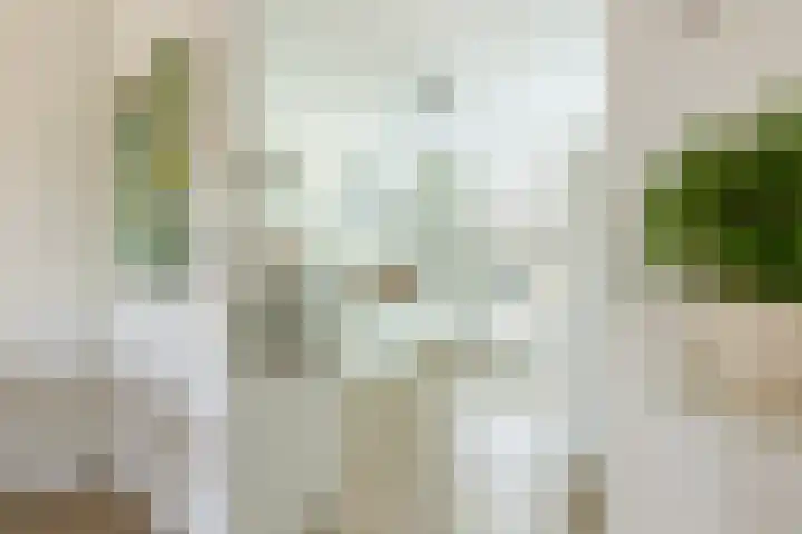 Boelijn 122 Almere thumbnail 15