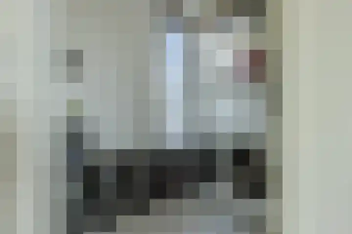 Boelijn 122 Almere thumbnail 34