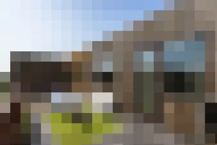 Boelijn 122 Almere thumbnail 35