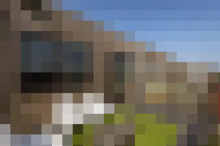 Boelijn 122 Almere thumbnail 37