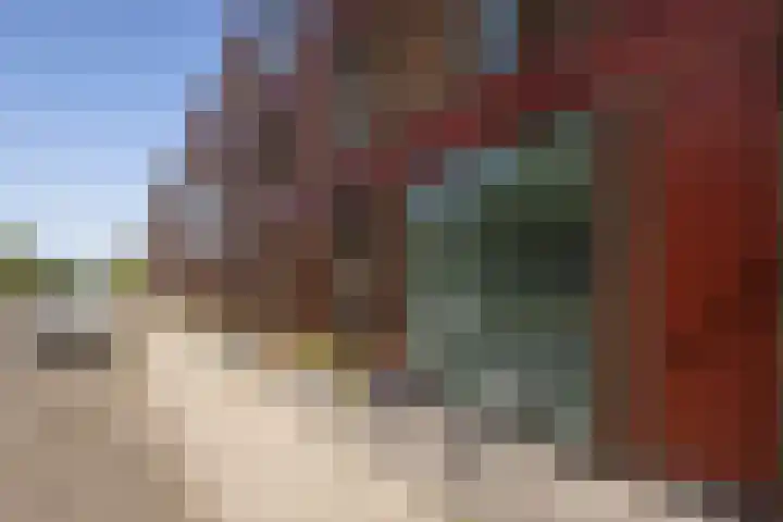 Boelijn 122 Almere thumbnail 47