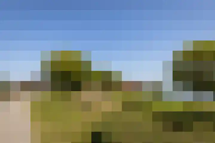 Boelijn 122 Almere thumbnail 54