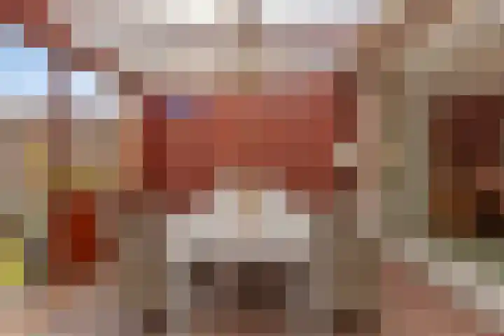 Boelijn 14 Almere thumbnail 14