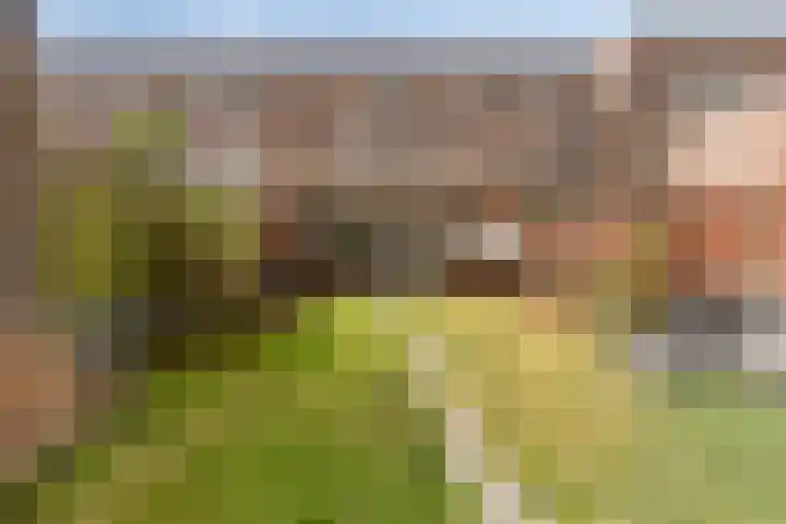 Boelijn 14 Almere thumbnail 16