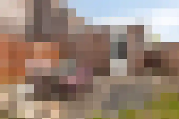 Boelijn 14 Almere thumbnail 17