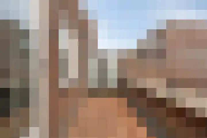 Boelijn 14 Almere thumbnail 32