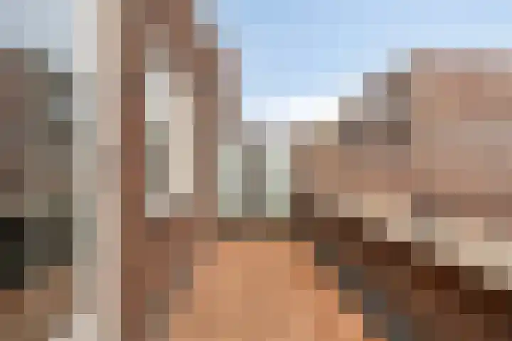 Boelijn 14 Almere thumbnail 33