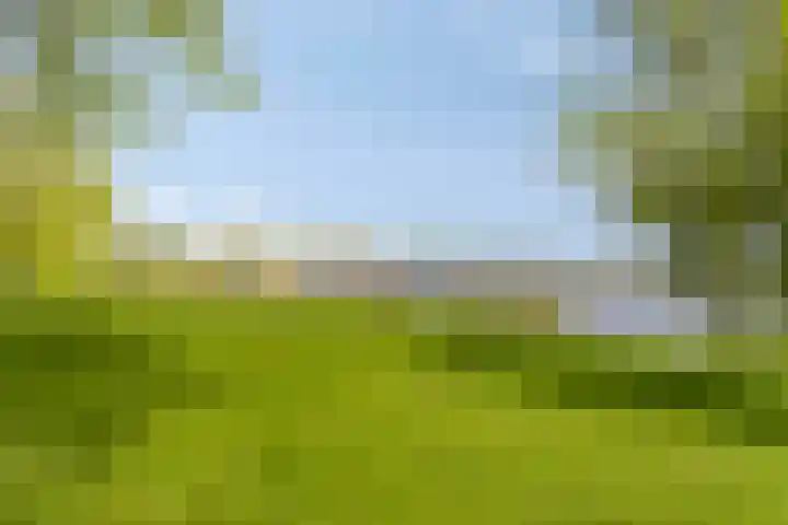 Boelijn 14 Almere thumbnail 49