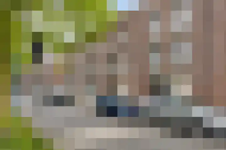 Boelijn 14 Almere thumbnail 52