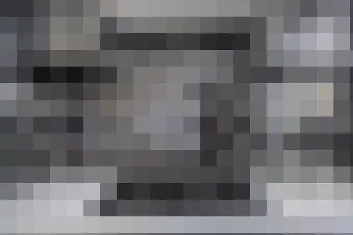 Boelijn 156 Almere thumbnail 13