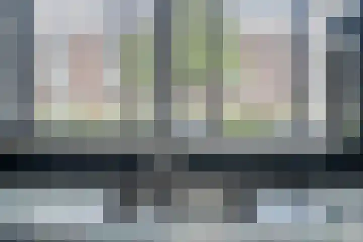Boelijn 156 Almere thumbnail 15