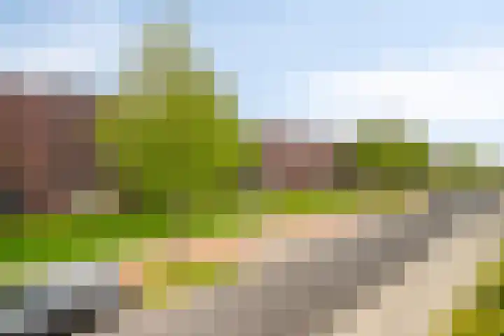 Boelijn 156 Almere thumbnail 30