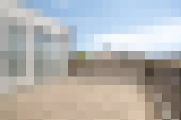 Boelijn 156 Almere thumbnail 35