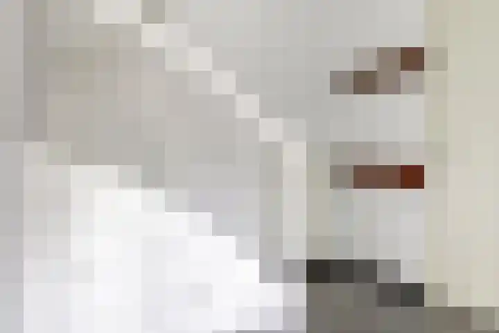 Boelijn 156 Almere thumbnail 5