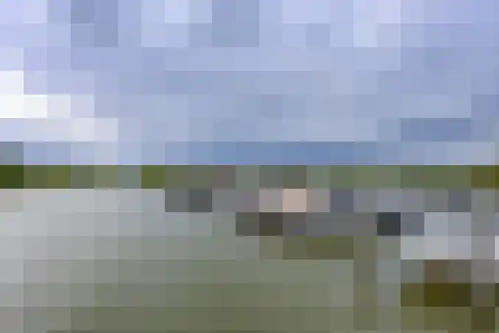 Boelijn 167 Almere thumbnail 36