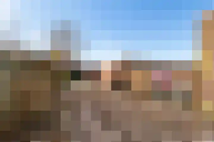 Boelijn 247 Almere thumbnail 30