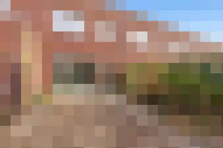 Boelijn 247 Almere thumbnail 31