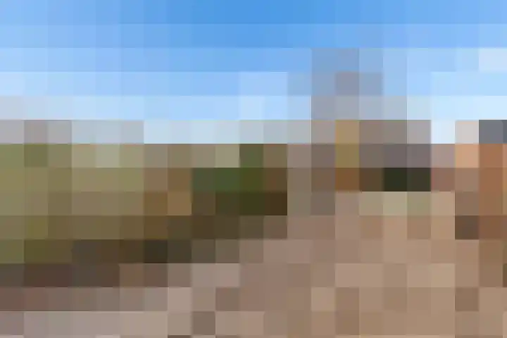 Boelijn 247 Almere thumbnail 33