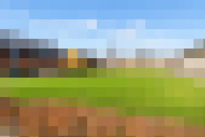 Boelijn 247 Almere thumbnail 35