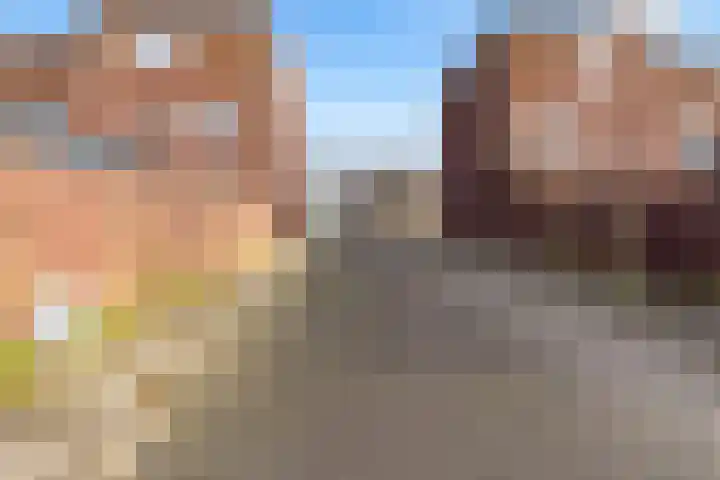 Boelijn 247 Almere thumbnail 38