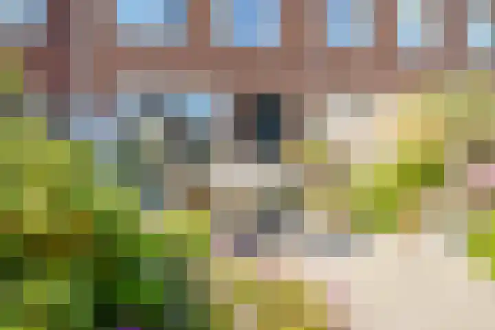 Boelijn 48 Almere thumbnail 34