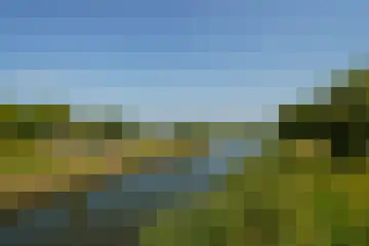 Boelijn 48 Almere thumbnail 42
