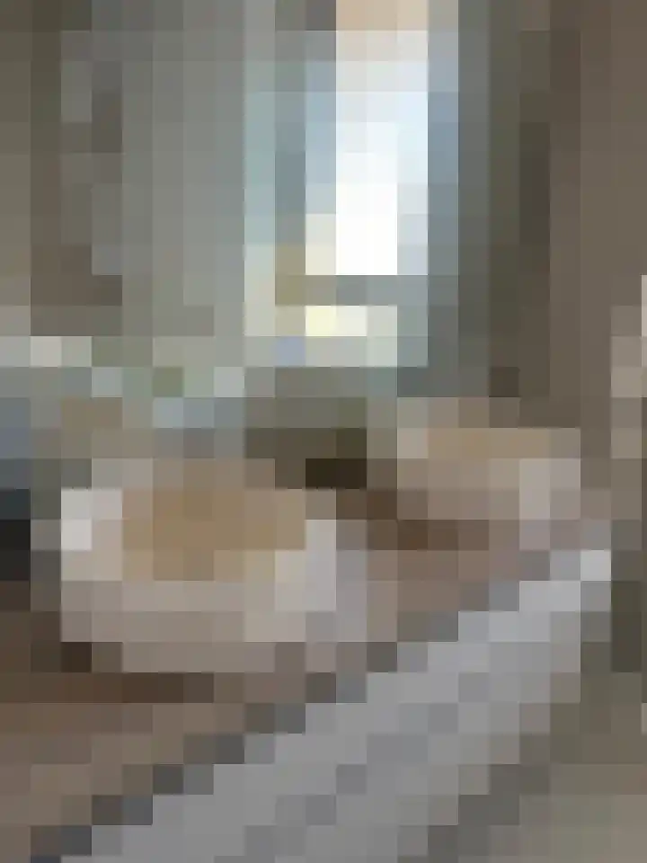 Boerenerf 11 Meerkerk thumbnail 21