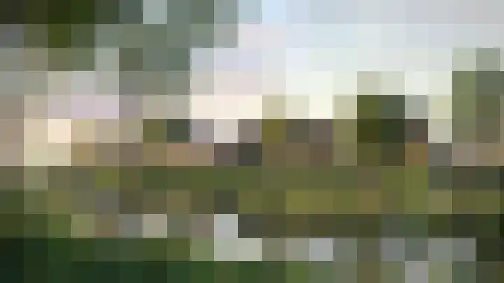 Boerenerf 11 Meerkerk thumbnail 7