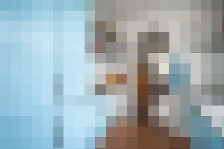 Boergonjestede 4 Vaassen thumbnail 10