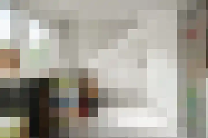 Boergonjestede 4 Vaassen thumbnail 15
