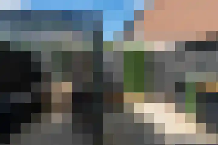 Boergonjestede 4 Vaassen thumbnail 23