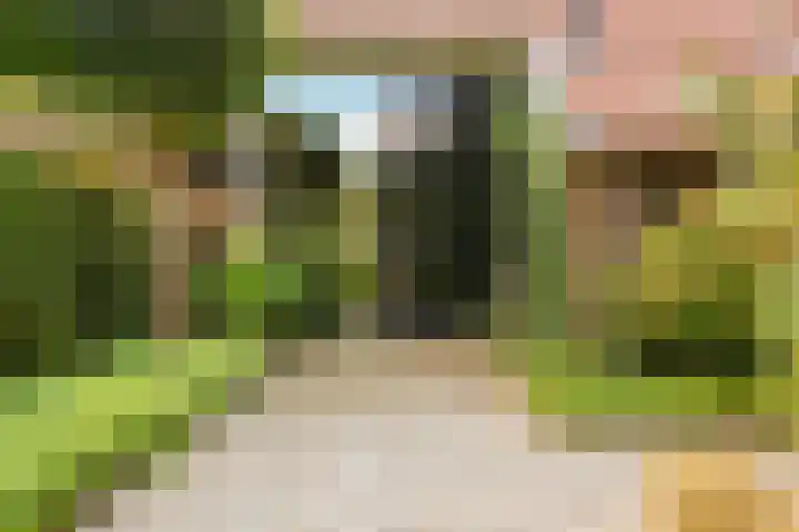 Boergrup 31 Vledderveen thumbnail 11