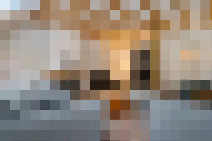 Boergrup 31 Vledderveen thumbnail 17