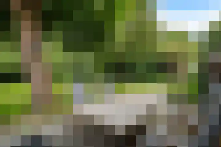 Boergrup 31 Vledderveen thumbnail 23