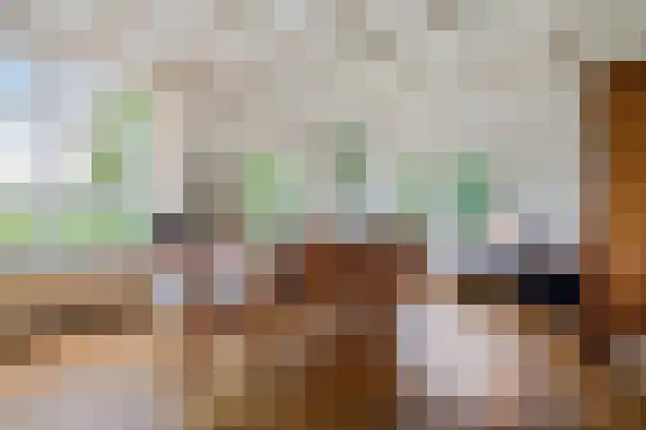 Boergrup 31 Vledderveen thumbnail 30