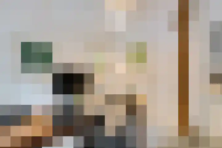 Boergrup 31 Vledderveen thumbnail 37