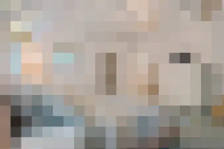 Boergrup 31 Vledderveen thumbnail 41