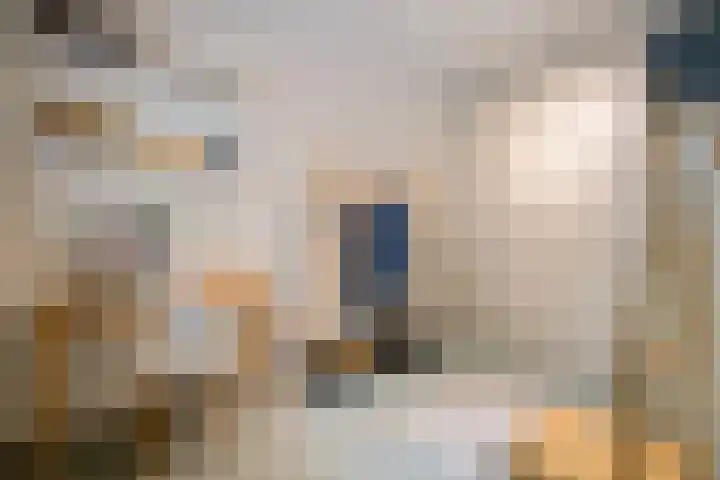 Boergrup 31 Vledderveen thumbnail 43