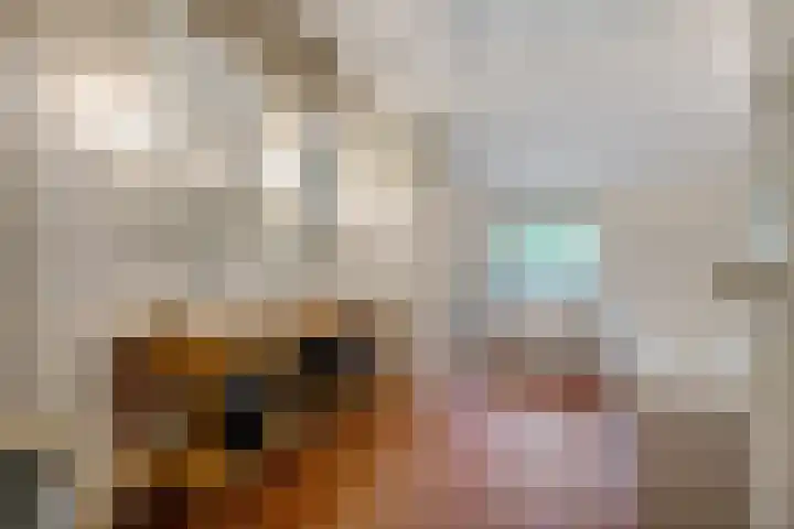 Boergrup 31 Vledderveen thumbnail 44
