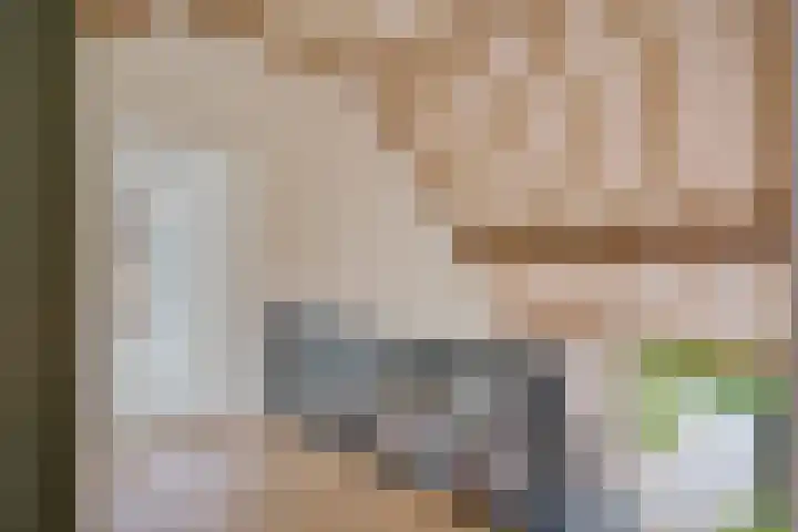 Boergrup 31 Vledderveen thumbnail 47