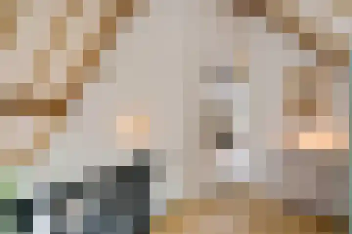 Boergrup 31 Vledderveen thumbnail 48