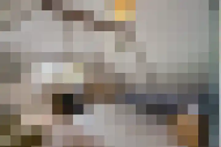 Boergrup 31 Vledderveen thumbnail 49